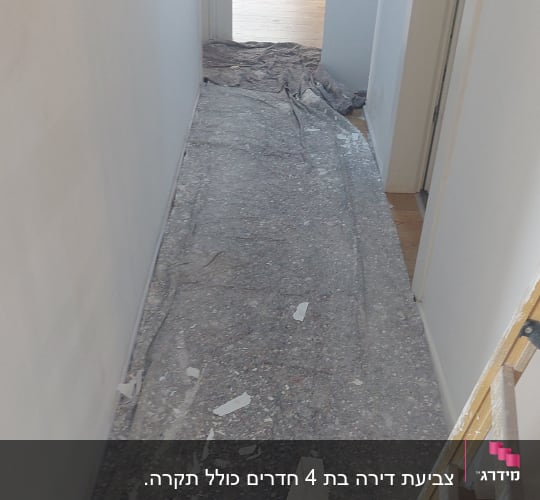 מסדרון עם סולם וכיסוי רצפה לצביעת קירות